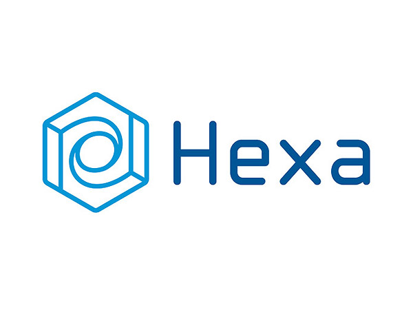 Hexa Advisory Logo and Identity Design