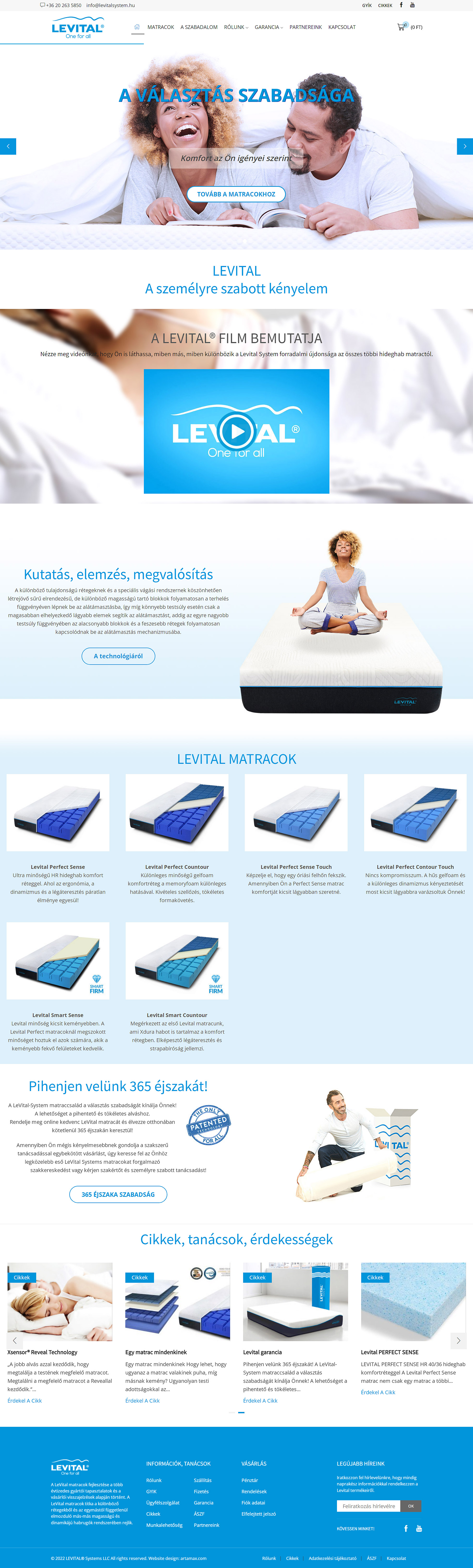 Levital Website Design Screenshot